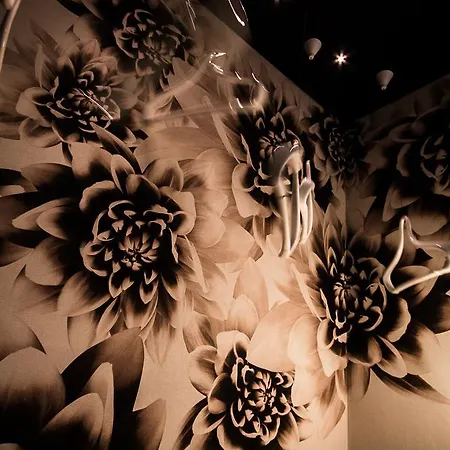 Hotel Fabio Massimo Design 3*